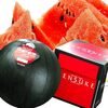 一茂×かまいたちゲンバ レンタル畑 でんすけスイカ＆せいろ蒸し料理