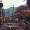 秋の養老鉄道