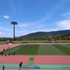 垣根の剪定とラグビー観戦