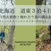 北海道　道東３泊４日～自然＆動物と触れ合う旅の備忘録～その五