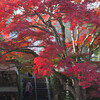 稗田野・神蔵寺