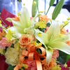 DAILY FLOWERS  !!