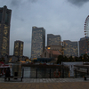 横浜みなとみらいの夜景