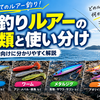 海釣りルアーの種類と使い分け｜初心者向けにミノー・ワーム・メタルジグ・エギを解説