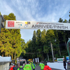 ジャパンカップサイクルロードレース2019