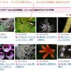 「みんなの花図鑑」リニューアル後は！