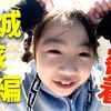 2月18日の動画