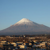 富士市の市街から見た富士山