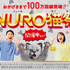 NURO光会員はぜったいに応募したほうがいいNURO猫祭開催。総額1億円をバラマキ