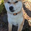 秋葉監督さんが覆してくれた清水のネガティブ