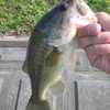 ６．９　水郷バス釣行