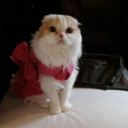 ヒデスのブログ