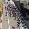 TOJ2024東京ステージと全日本学生選手権クリテリウム大会
