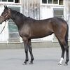 ルヴォワールの22近況(24年6月14日)