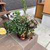 寄せ植えに変化が