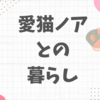 愛猫ノアとの暮らし、発見と反省の飼い主雑記。