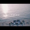 今日の動画。 - にしな | 青藍遊泳 - Music Video