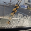 高齢者講習（豊中自動車教習所にて）