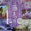 4月29日更新！2024年度 曼陀羅寺の「藤まつり」開花状況 江南市