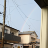 久し振りのまとまった雨