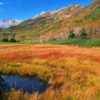 栂池自然園紅葉、穴場と中部山岳国立公園