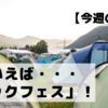 夏といえば・・・「ロックフェス！！」
