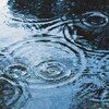 作業中にずぶ濡れになると急激にやる気がゼロになりますね。(水曜日、曇りのち雨)