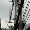 【ニュース】撤去した電柱で海岸侵食防止　バンコク近郊で取り組み
