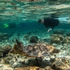 BANDOS　HOUSE　REEF　で　起こったこと