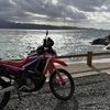 【比較レビュー】Z900RSからCRF250 RALLYに乗り換えた話