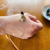 店主のたるんだ気を引き締めるべくお灸を据える