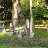 初子神社の境内に祀られる庚申塔　福岡県宮若市磯光