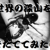 ヴェムケンミヤマ　チベット　メンリン県産第１号羽化