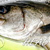 【DEPS】頭部バイトを逃さないアシストフック搭載「ギラギラコウゲキ･ヘッドショット」発売！