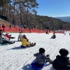 雪山デビュー！旭高原元気村で雪ソリ遊びをしてきました