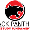 ブラックパンサーズサイト再開しました！