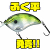【ダイワ】サーキットボードリップ採用クランク「ふく平」発売！