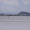 おめでとうございます（東根の雪景色）