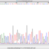 pythonでseq data