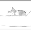 休息の日は 猫ものんびり