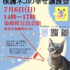 JR西宮｜2025年7月6日 （日）染殿町自治会館でもふもふ西宮『保護ネコの幸せ譲渡会』が開催されます