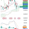 日経225   3月16日までの値動き チャート解説    