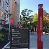 ST.John's University
