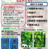 令和に誕生した最新型液肥！「韋駄天液肥441」　イノシン・グリシン