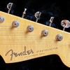 Fender Stratocaster Thinline