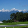 巣箱の掃除と八ヶ岳の山野草