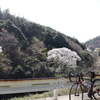 北摂⇒嵐山⇒瀬田川⇒背割り堤サイクリング