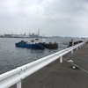 3月最終日のカレイ狙い……満潮狙い☆彡根岸湾