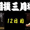 春場所12日目の８番と最高点の予想はこちら