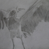 夏休みの宿題の絵　　「ハシビロコウ、空へ羽ばたく」　　